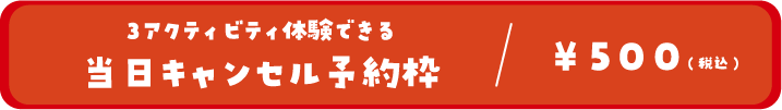 3アクティビティ体験できる当日キャンセル予約枠/500円(税込)